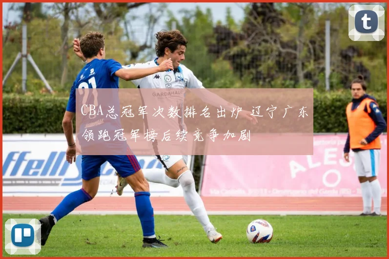 CBA总冠军次数排名出炉 辽宁广东领跑冠军榜后续竞争加剧