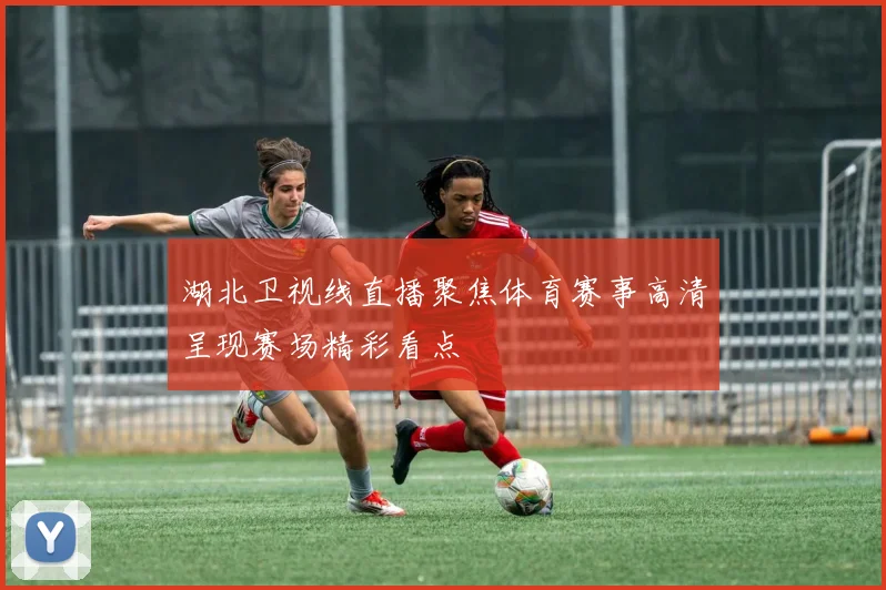 湖北卫视线直播聚焦体育赛事高清呈现赛场精彩看点