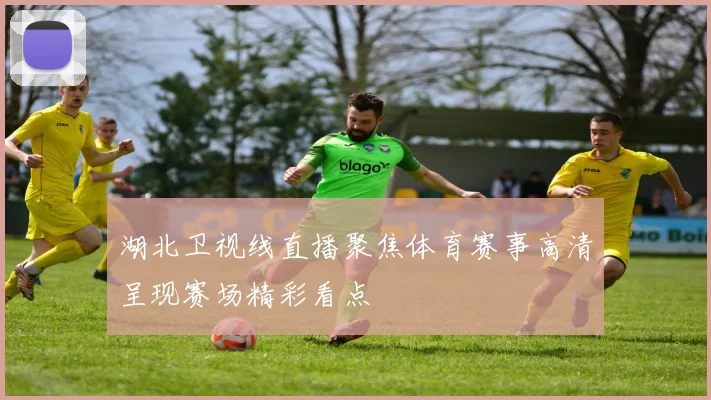 湖北卫视线直播聚焦体育赛事高清呈现赛场精彩看点