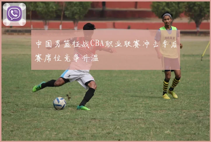 中国男篮征战CBA职业联赛冲击季后赛席位竞争升温