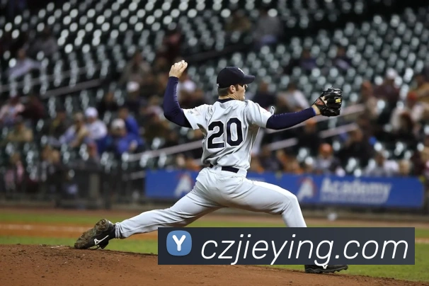 App Interface Preview