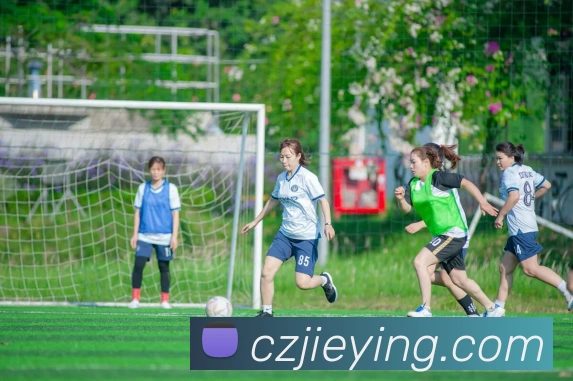 买球官方APP 封面图